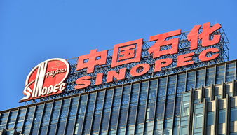 A股77家公司上半年獲政府補(bǔ)貼過億，中國石化成“補(bǔ)貼王”